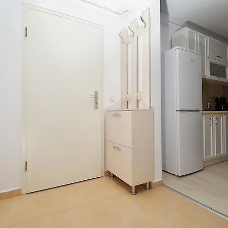 Nisa Ii Lejlighed Braşov